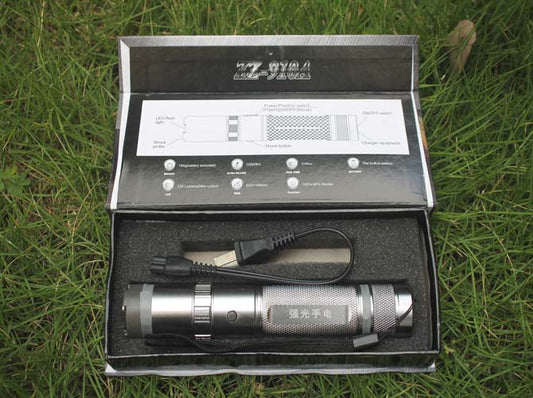 Open ZZ-910A retail box with the labeled function diagram and the silver unit with wall charger seated in the foam tray on grass