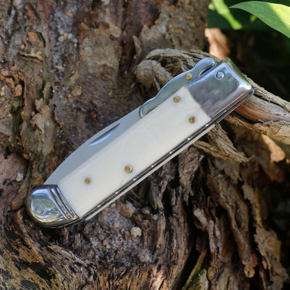 Beef Bone Handle Folding Portable Outdoor Tool