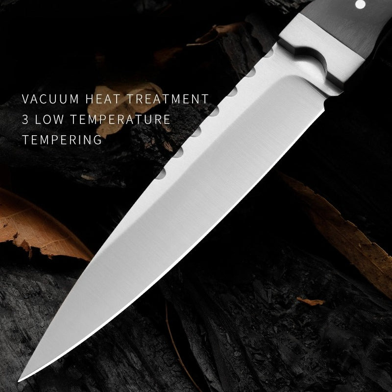 9Cr18Double Steel Head Ebony Handle Knife6