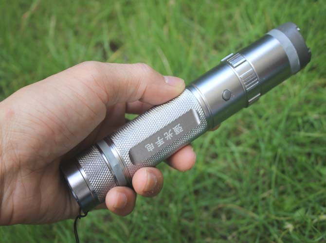 Hand holding the silver torch-style stun gun on grass showing the oval grip badge, side button and knurled body