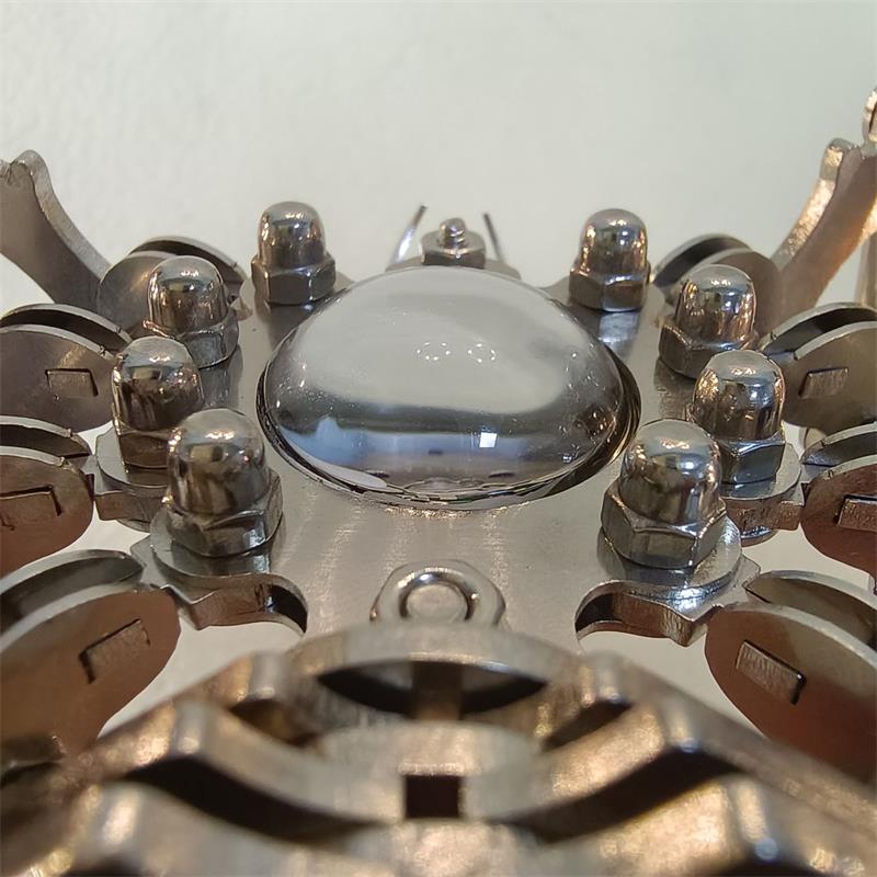 Extreme close-up of the spider's clear dome head surrounded by polished cap nuts